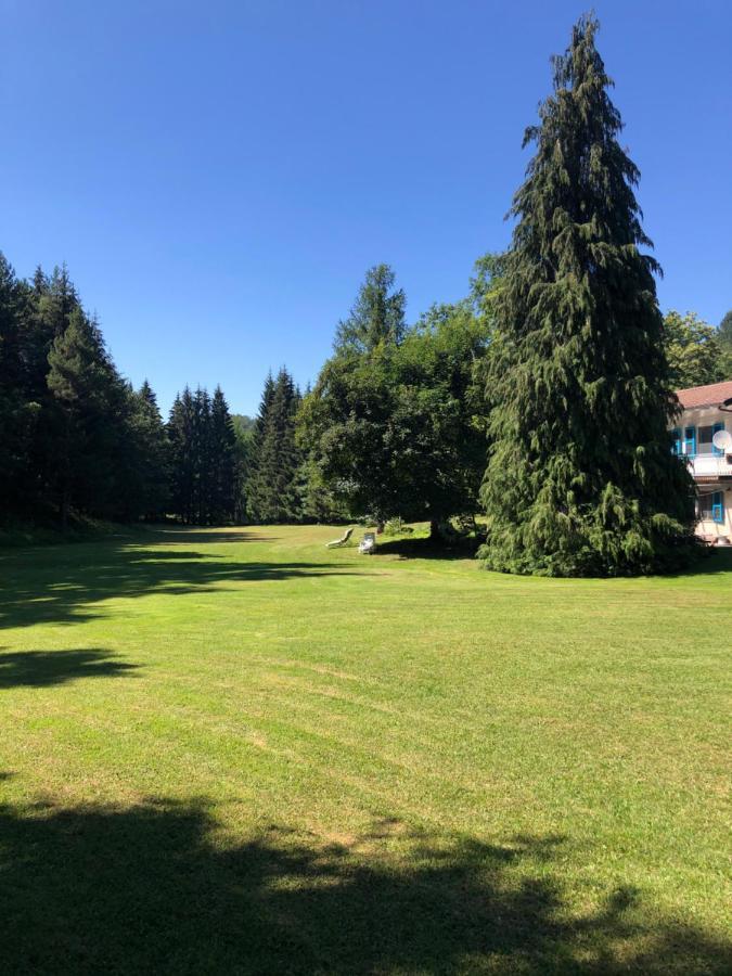 Agriturismo La Casa Nel Bosco Boveglio Екстериор снимка