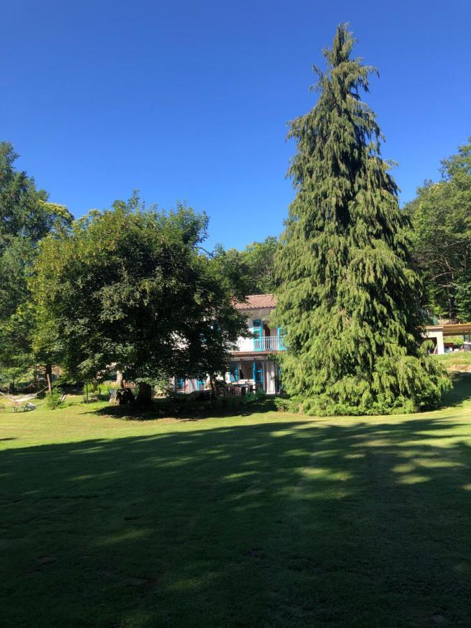 Agriturismo La Casa Nel Bosco Boveglio Екстериор снимка