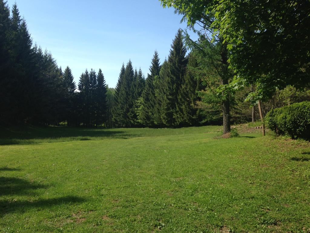 Agriturismo La Casa Nel Bosco Boveglio Екстериор снимка
