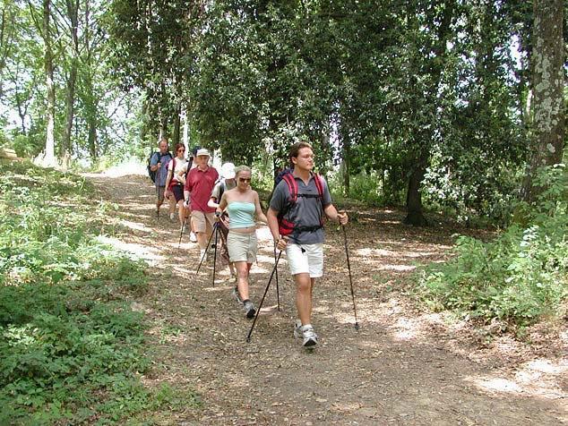 Agriturismo La Casa Nel Bosco Boveglio Екстериор снимка