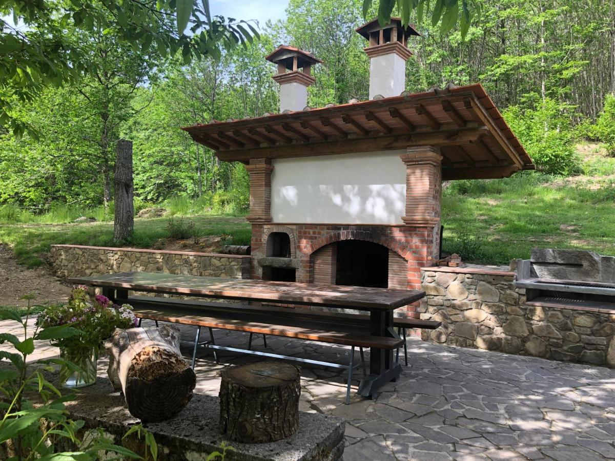 Agriturismo La Casa Nel Bosco Boveglio Екстериор снимка