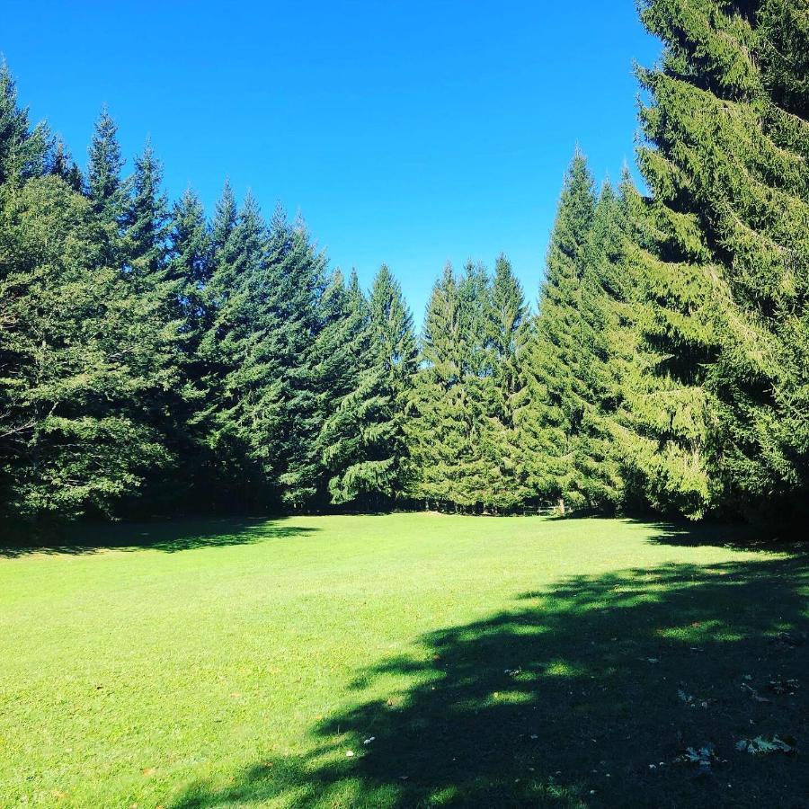 Agriturismo La Casa Nel Bosco Boveglio Екстериор снимка