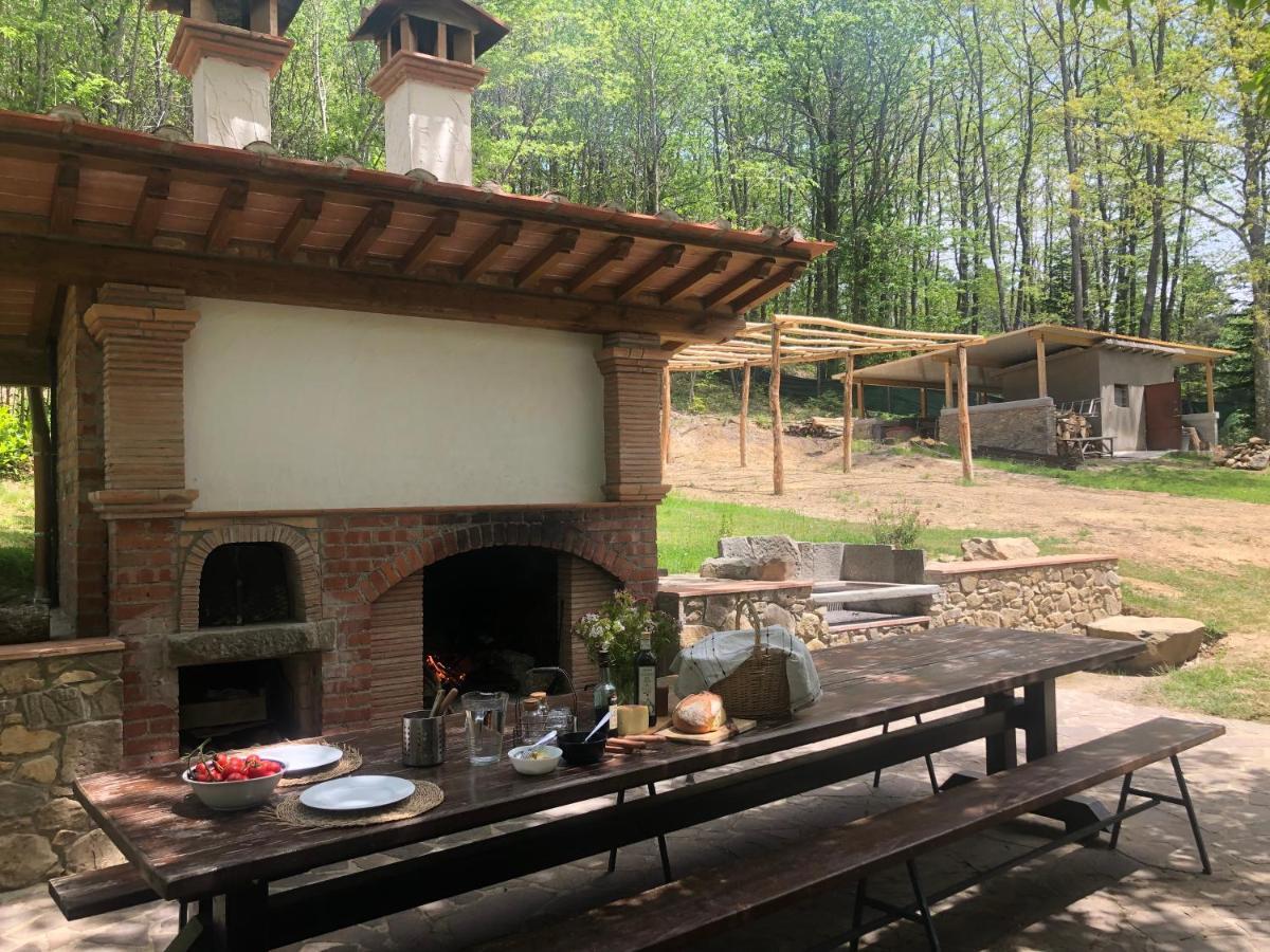 Agriturismo La Casa Nel Bosco Boveglio Екстериор снимка